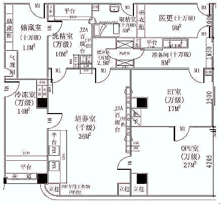 生殖医学中心设计与布局